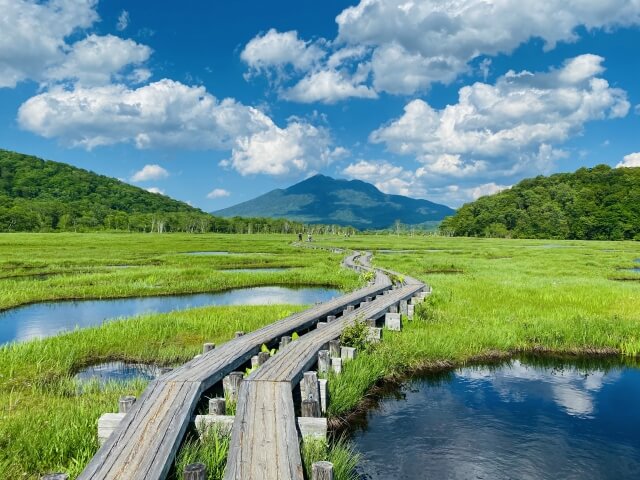 尾瀬の風景