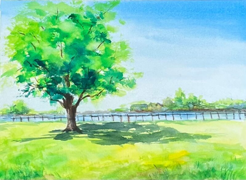 公園の木の絵